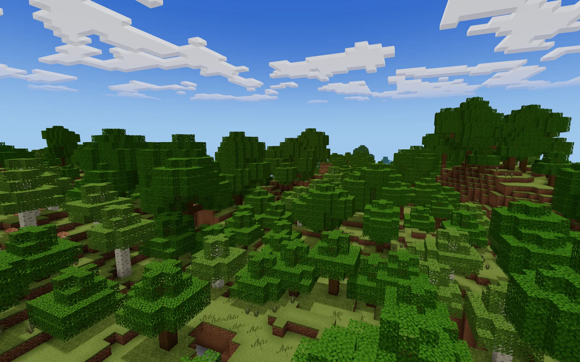 A dense mixed forest of oaks, birches and conifers spreading over terraced green hills under a bright sky.
